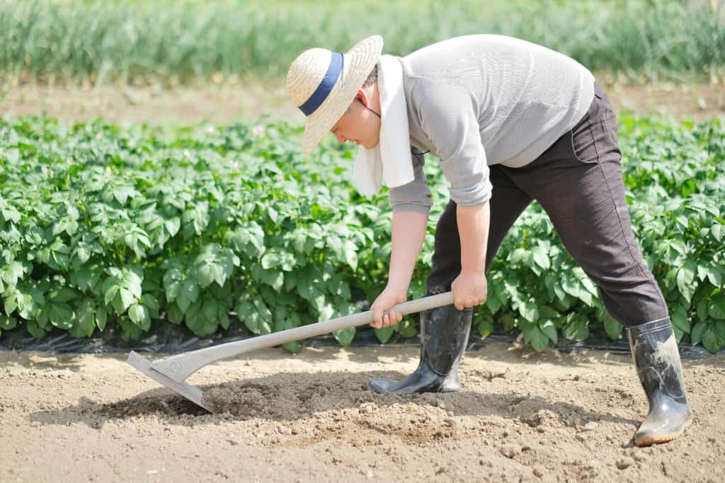 田舎で自給自足！本格的に始める前に揃えたい道具とは？