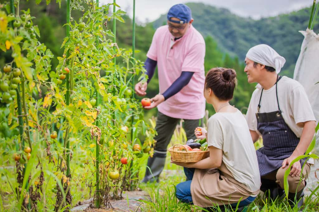 田舎で自給自足をするならこんな土地がおすすめ！