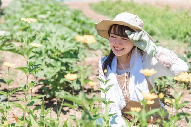 【自給自足入門】週末農業で忙しくても家庭菜園ができる！