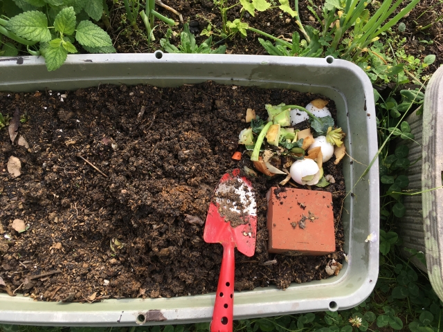 【都会で自給自足】ベランダでできる「コンポスト」の始め方